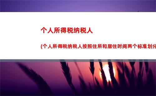 个人所得税所得项目有误(个人所得税综合所得项目包括)