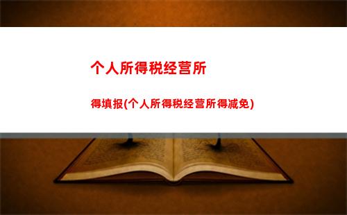 个人所得税以支付所得(个人所得税需由支付所得的扣缴义务人)