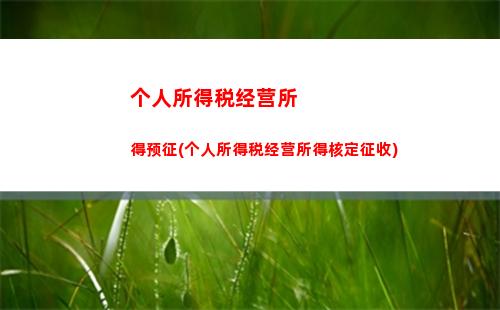 民企老板所得个人所得税(民企要交个人所得税吗)