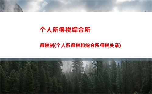 个人所得税综合所得调研(个人所得税综合所得汇算)