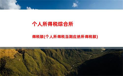 轻松计算个人所得税，了解税收减免政策，不再被税务困扰