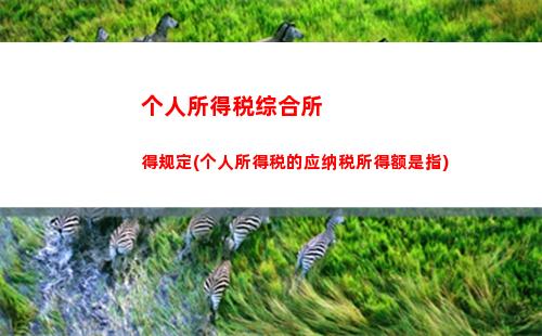 个人所得税怎么下载(个人所得税怎么下载电脑版)