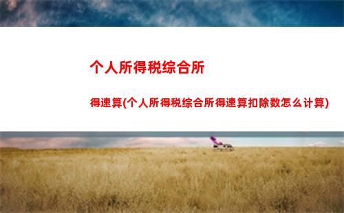 上海个人个人所得税(2023上海个人所得税计算)