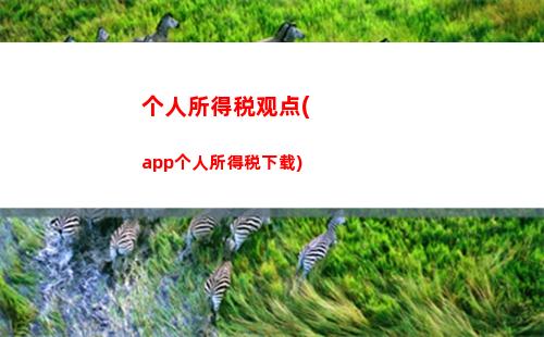 个人所得税经营所得稽查(个人所得税经营所得b表申报)