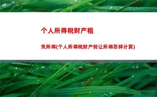 个人所得税境外意外所得(个人所得税境外所得抵免限额计算)