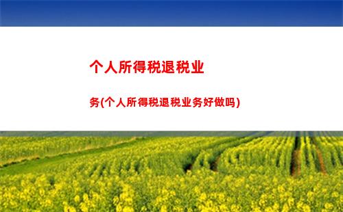 个人所得税扣缴系统(个人所得税扣缴系统怎么切换单位)