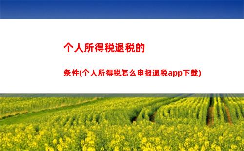 个人所得税可以拿回吗(怎么拿回个人所得税的钱)