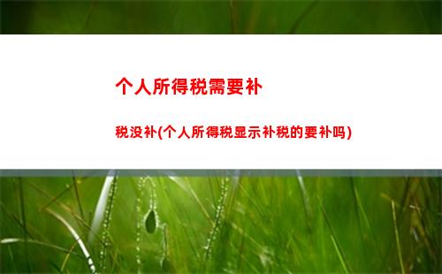 个人所得税退税补缴(个人所得税退税app下载安装)