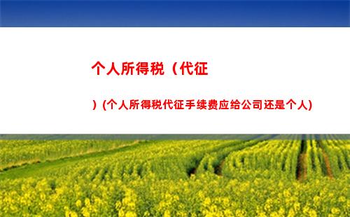 个人所得税5%(个人所得税5000扣多少钱)