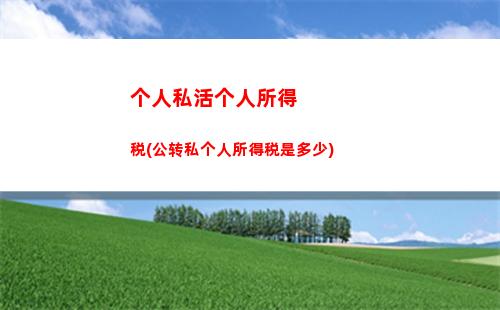 “想知道你的税负有多高？点我了解！”