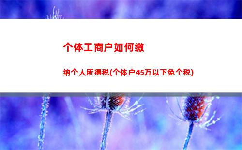 个人所得税救助(个人所得税虚报大病救助)