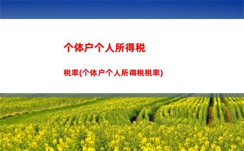经营所得个人所得税算法(转让股票所得交个人所得税的算法)