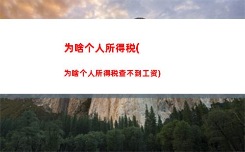 轻松查询，快乐退税——个人所得税退税攻略大揭秘！