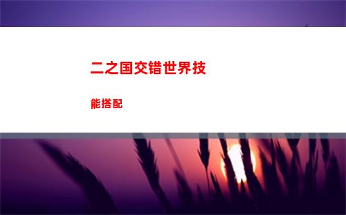二之国交错世界技能搭配