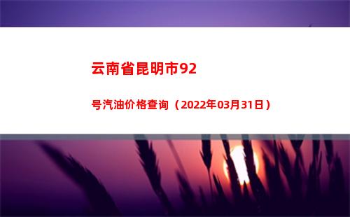 云南省昆明市92号汽油价格查询（2022年03月31日）