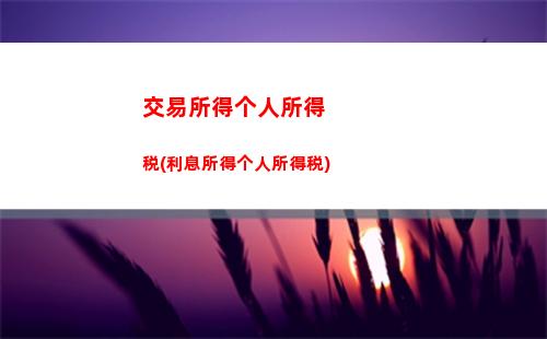 个人所得税wed(个人所得税web端设置密码)