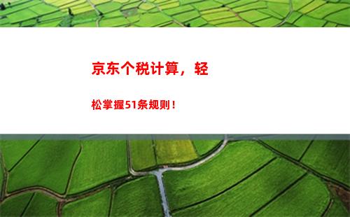 个人所得税综合所得概念(个人所得税前四项综合所得的项目及概念)