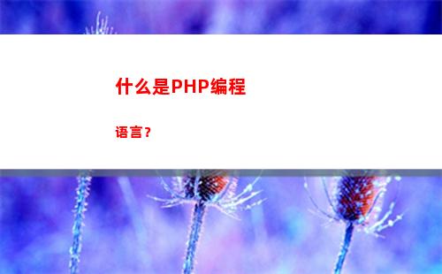 什么是PHP编程语言？(php用什么软件来编程)