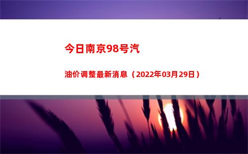 今日南京98号汽油价调整最新消息（2022年03月29日）