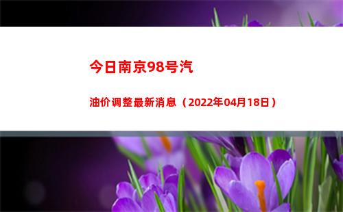 今日南京98号汽油价调整最新消息（2022年04月18日）