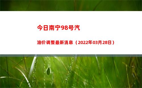 今日南宁98号汽油价调整最新消息（2022年03月28日）