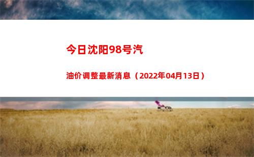 今日沈阳98号汽油价调整最新消息（2022年04月13日）