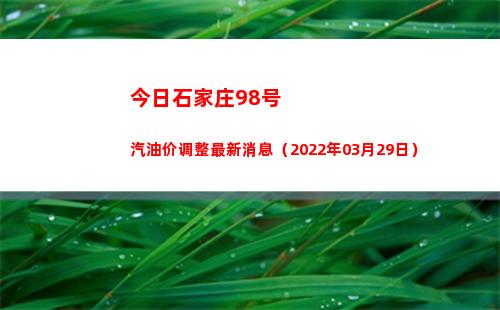 今日石家庄98号汽油价调整最新消息（2022年03月29日）