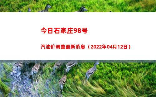 今日石家庄98号汽油价调整最新消息（2022年04月12日）
