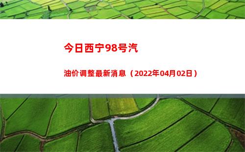 今日西宁98号汽油价调整最新消息（2022年04月02日）