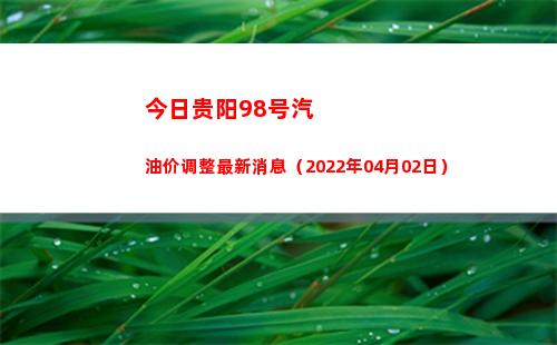 今日贵阳98号汽油价调整最新消息（2022年04月02日）