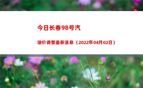 今日长春98号汽油价调整最新消息（2022年04月02日）