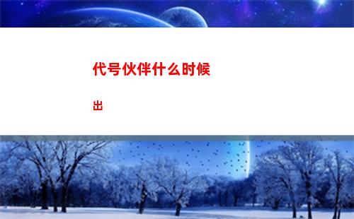 代号伙伴什么时候出
