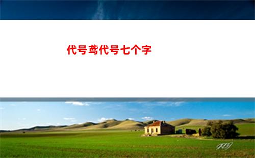 代号鸢代号七个字