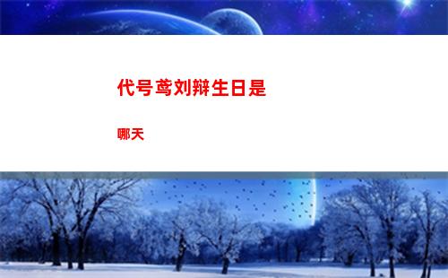代号鸢刘辩生日是哪天