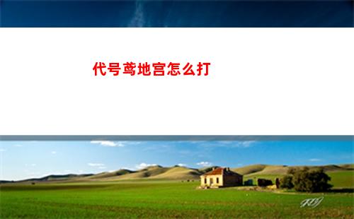 代号伙伴什么时候出