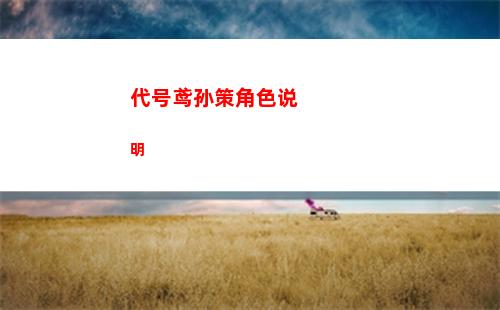 代号鸢孙策角色说明