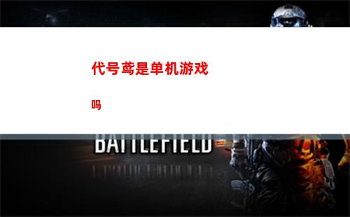代号鸢是单机游戏吗