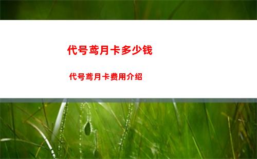 代号鸢月卡多少钱 代号鸢月卡费用介绍