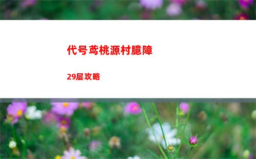 代号鸢桃源村臆障29层攻略