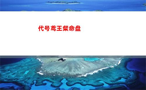 代号鸢王粲命盘