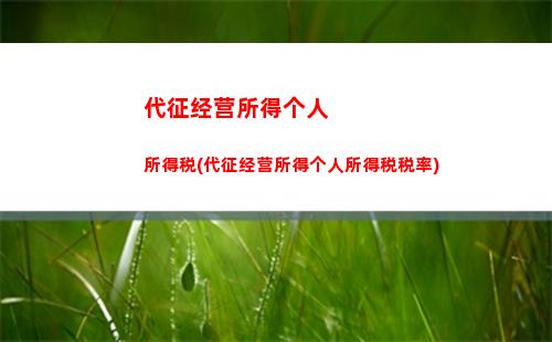 个人出租住房个人所得税(个人出租住房个人所得税怎么计算)