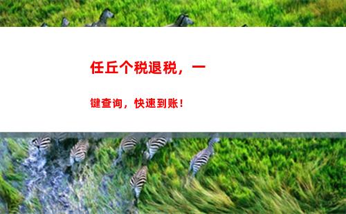 轻松查询苏州个税，快速了解如何避税节税！