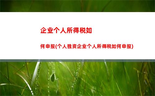 广西税个人所得税(广西个人所得税退税操作)