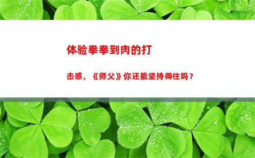 体验拳拳到肉的打击感，《师父》你还能坚持得住吗？(体验拳拳到肉的打击感)