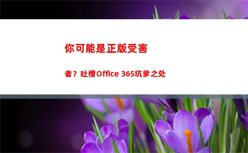 你可能是正版受害者？吐槽Office 365坑爹之处(你可能是正版受害者)