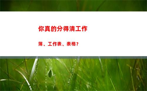 你真的分得清工作簿、工作表、表格？(工作生活分得很清的女人)