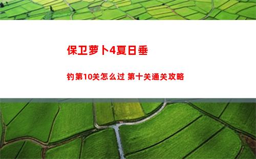 崩坏星穹铁道佩拉光锥挑选哪些好 佩拉光锥遗器搭配攻略