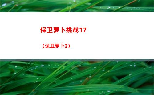 保卫萝卜挑战17（保卫萝卜2）