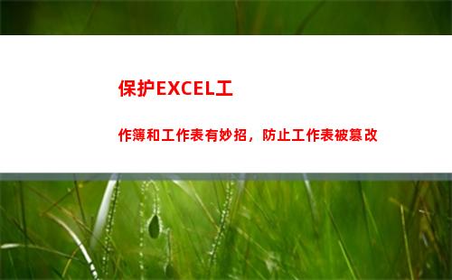 保护EXCEL工作簿和工作表有妙招，防止工作表被篡改(excel数据保护)