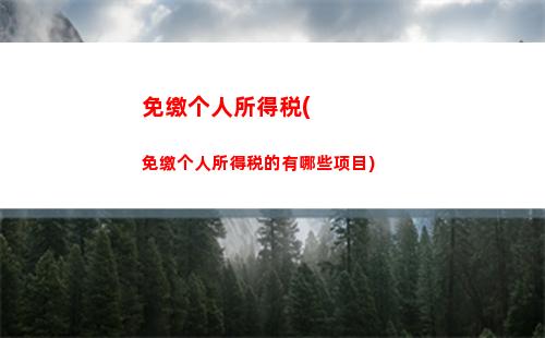 个人所得税边际(个人所得税边际税)